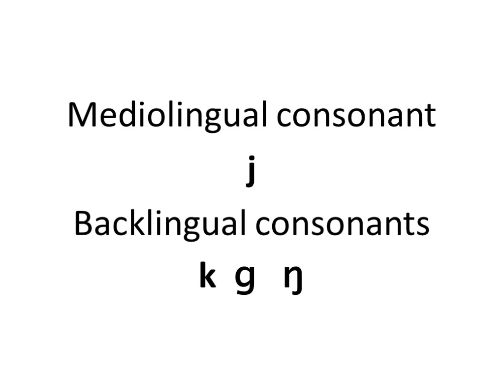 Mediolingual consonant j Backlingual consonants k ɡ ŋ